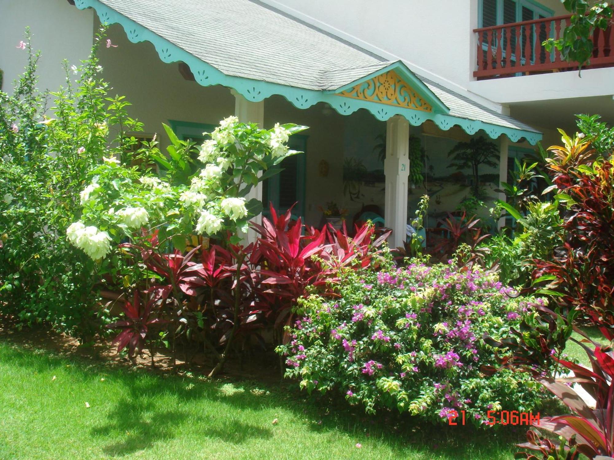 Hotel Playa Colibri لاس تاريناس المظهر الخارجي الصورة