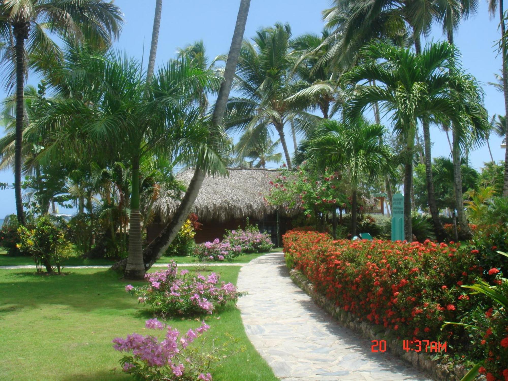 Hotel Playa Colibri لاس تاريناس المظهر الخارجي الصورة